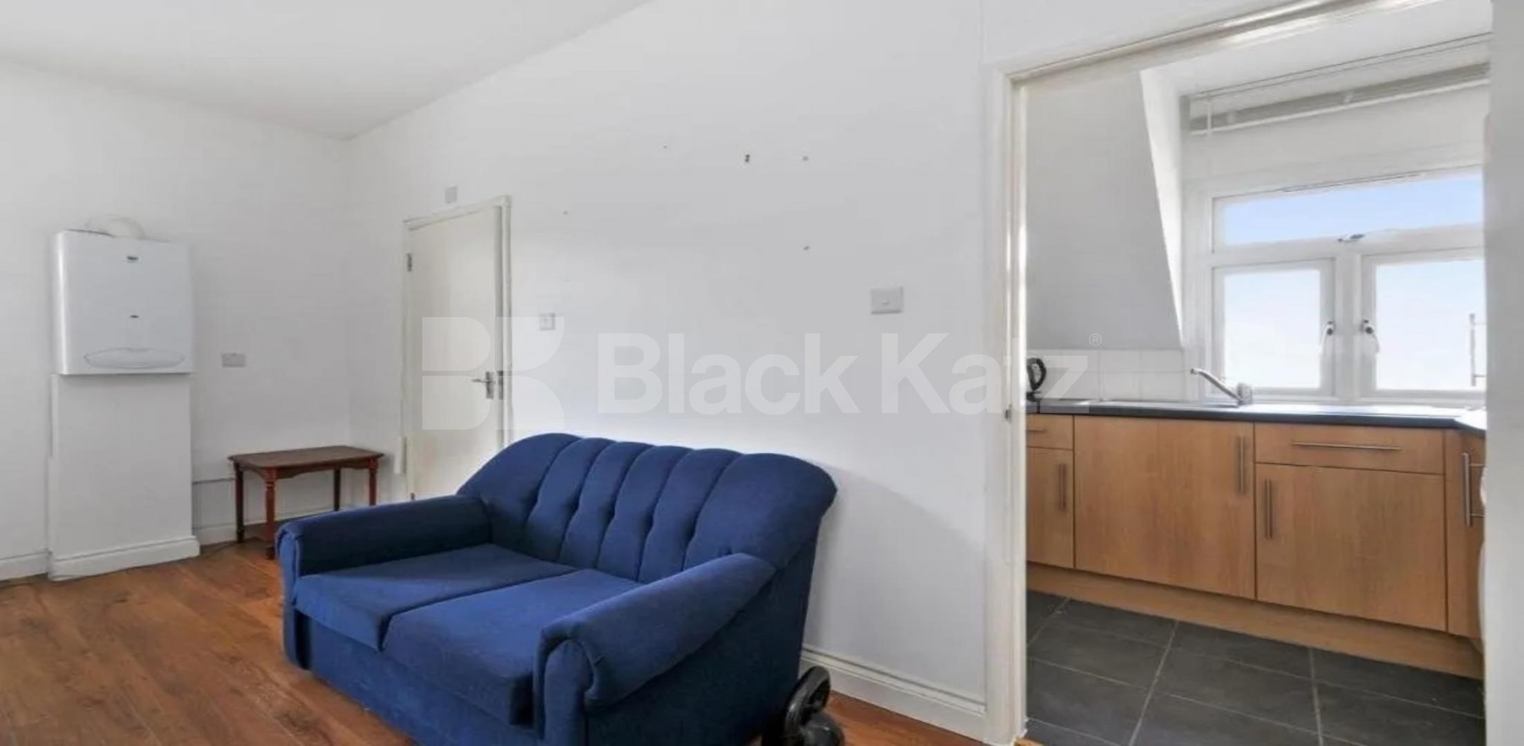 			NEW INSTRUCTION!, Studio Apartment, 1 bath, 1 reception Apartment			 Mount View Road, FINSBURY PARK-STROUD GREEN